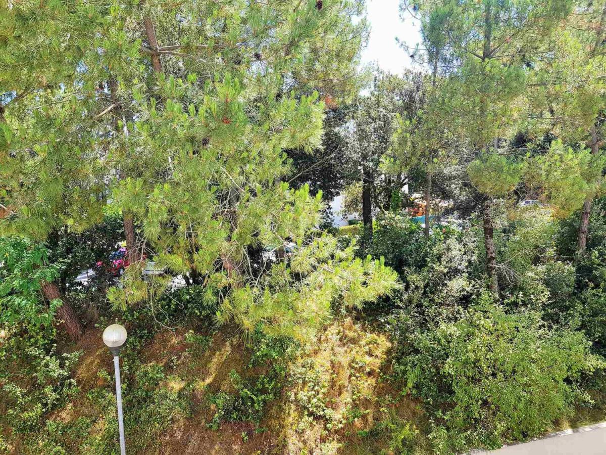 Appartement 2 Pieces A 300M De La Plage Avec Balcon Ensoleille A Saint-Georges-De-Didonne - Fr-1-550-48 外观 照片